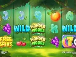 Wonder Woods Slots